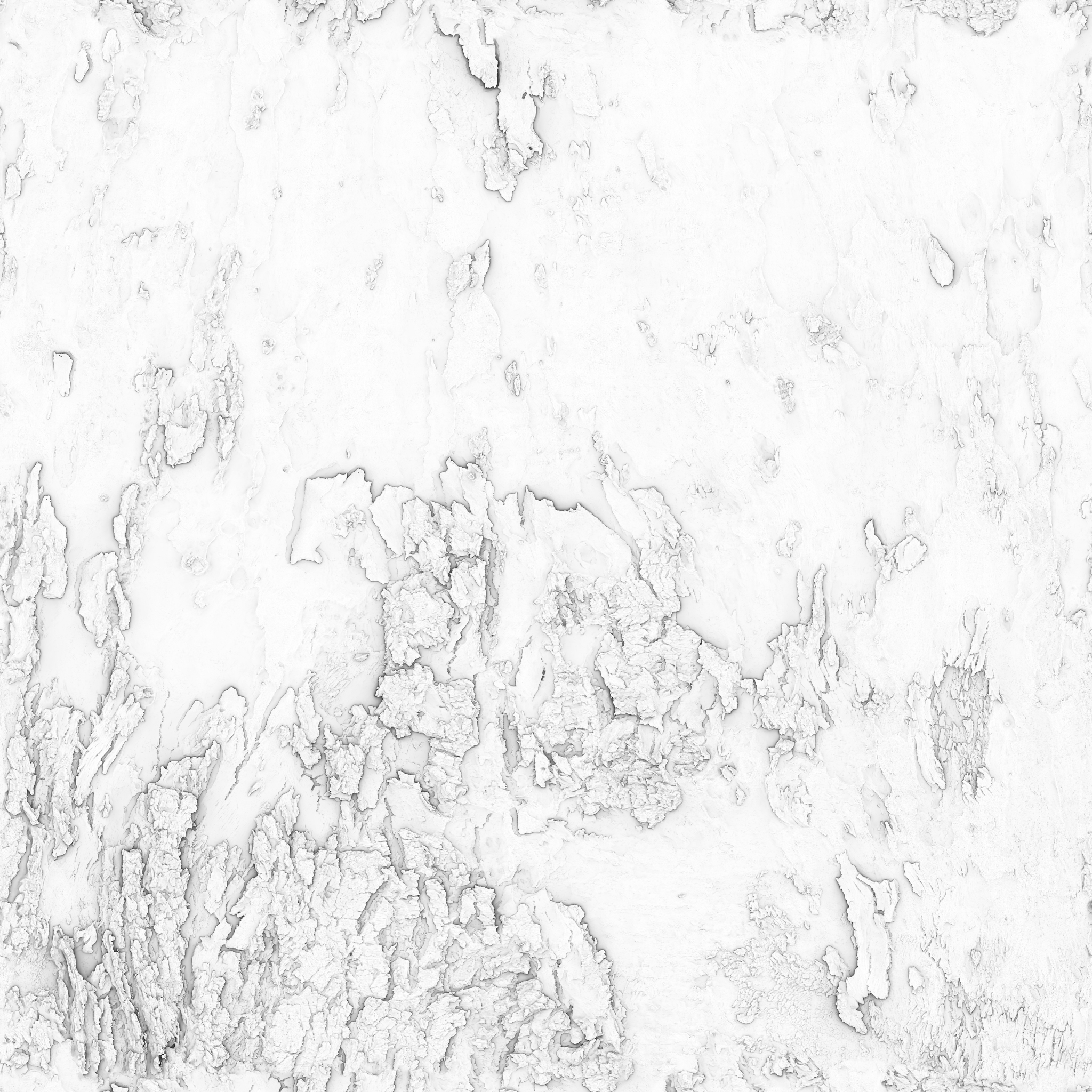 Bark Blue gum - Image 6