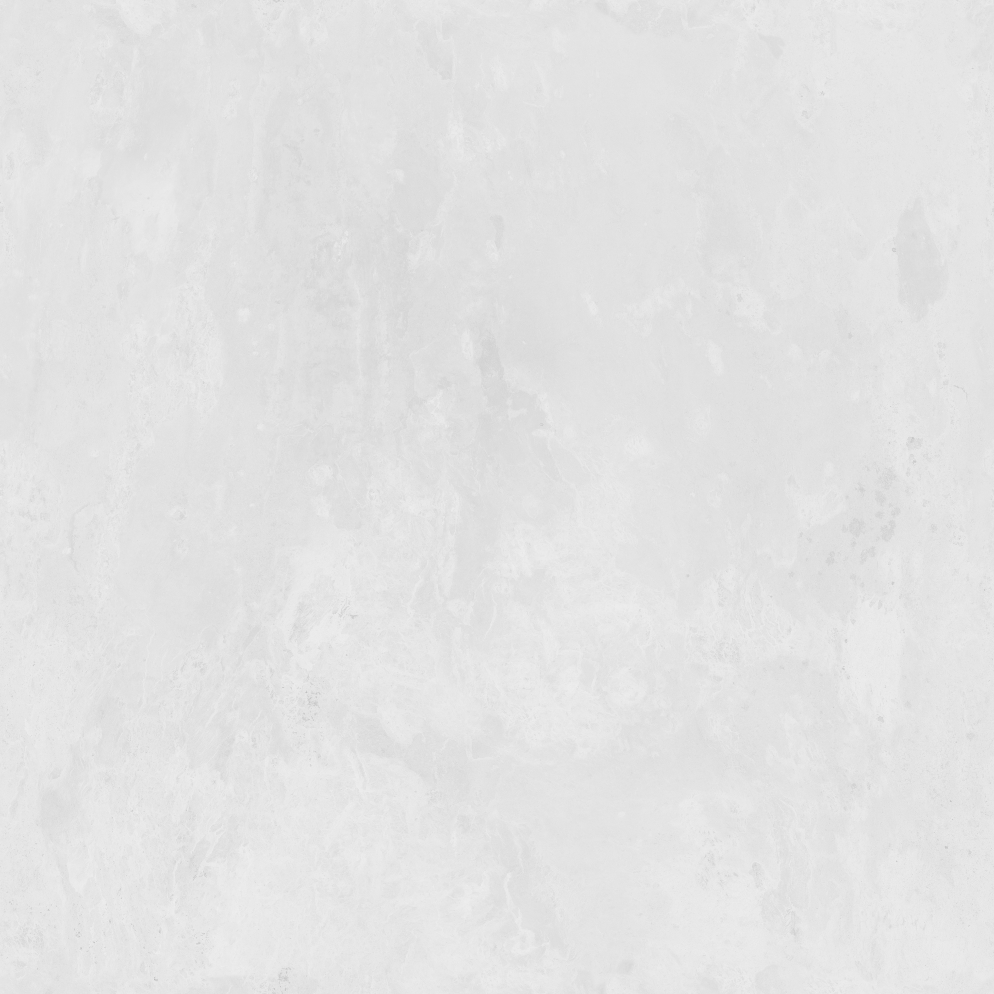 Bark Blue gum - Image 5