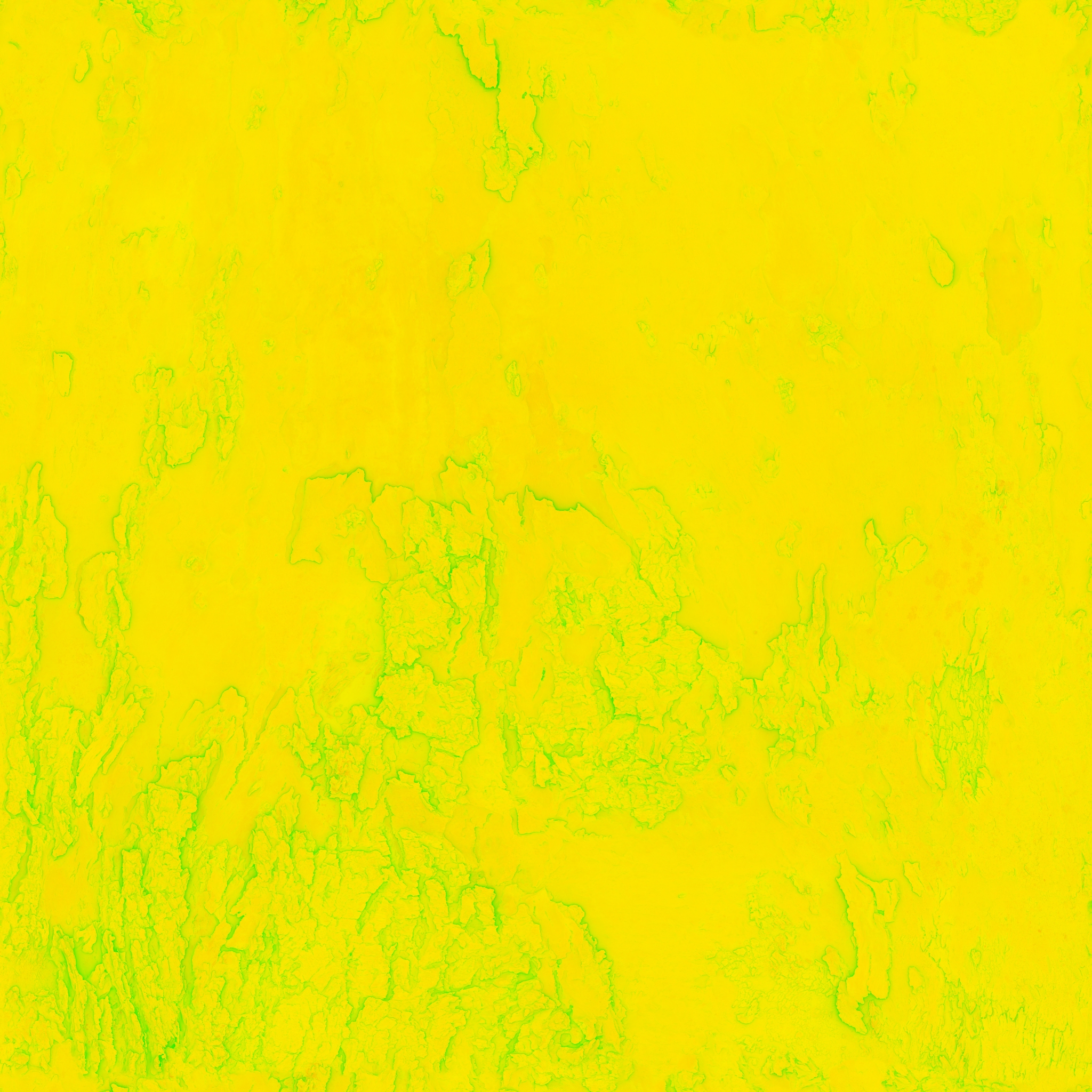 Bark Blue gum - Image 3