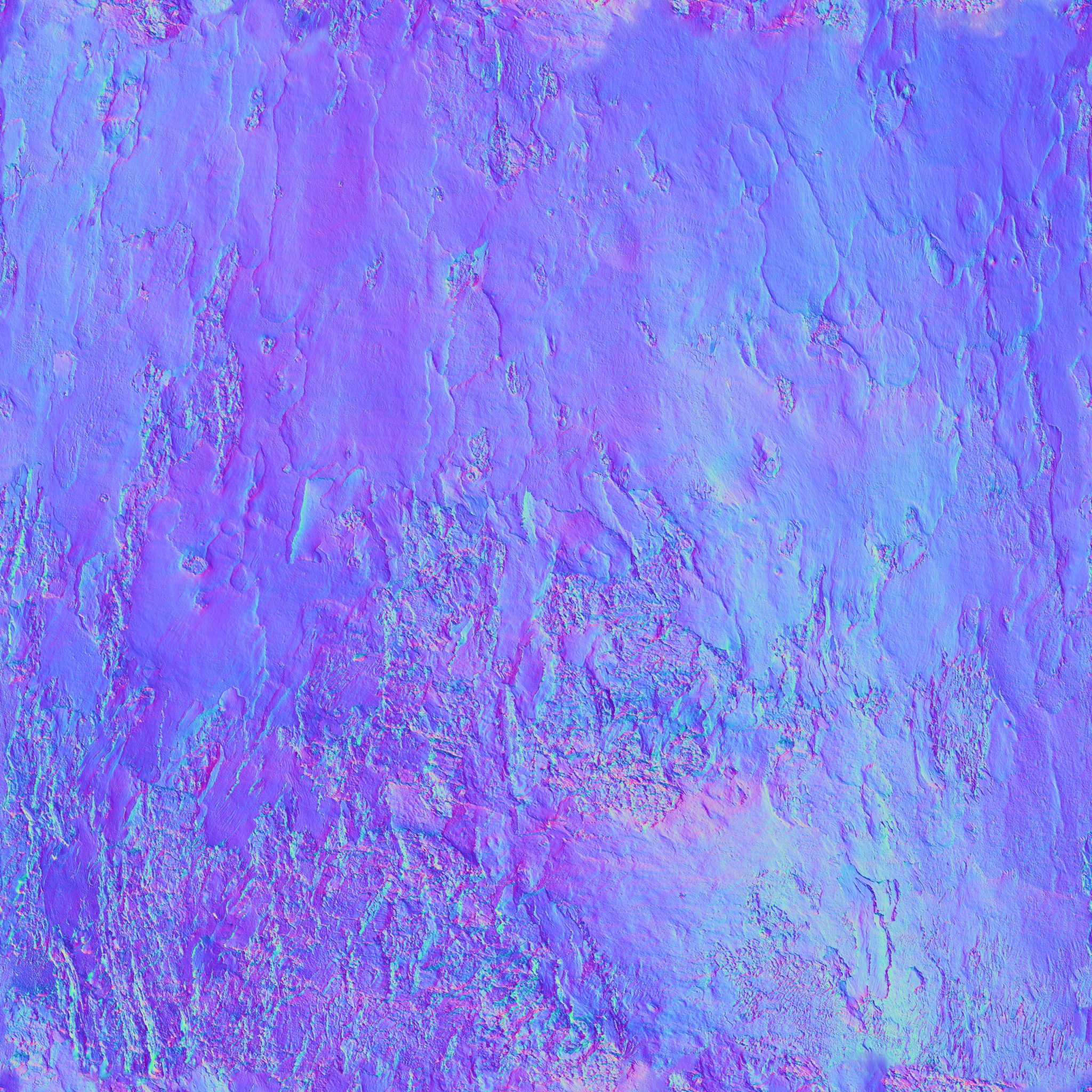 Bark Blue gum - Image 2