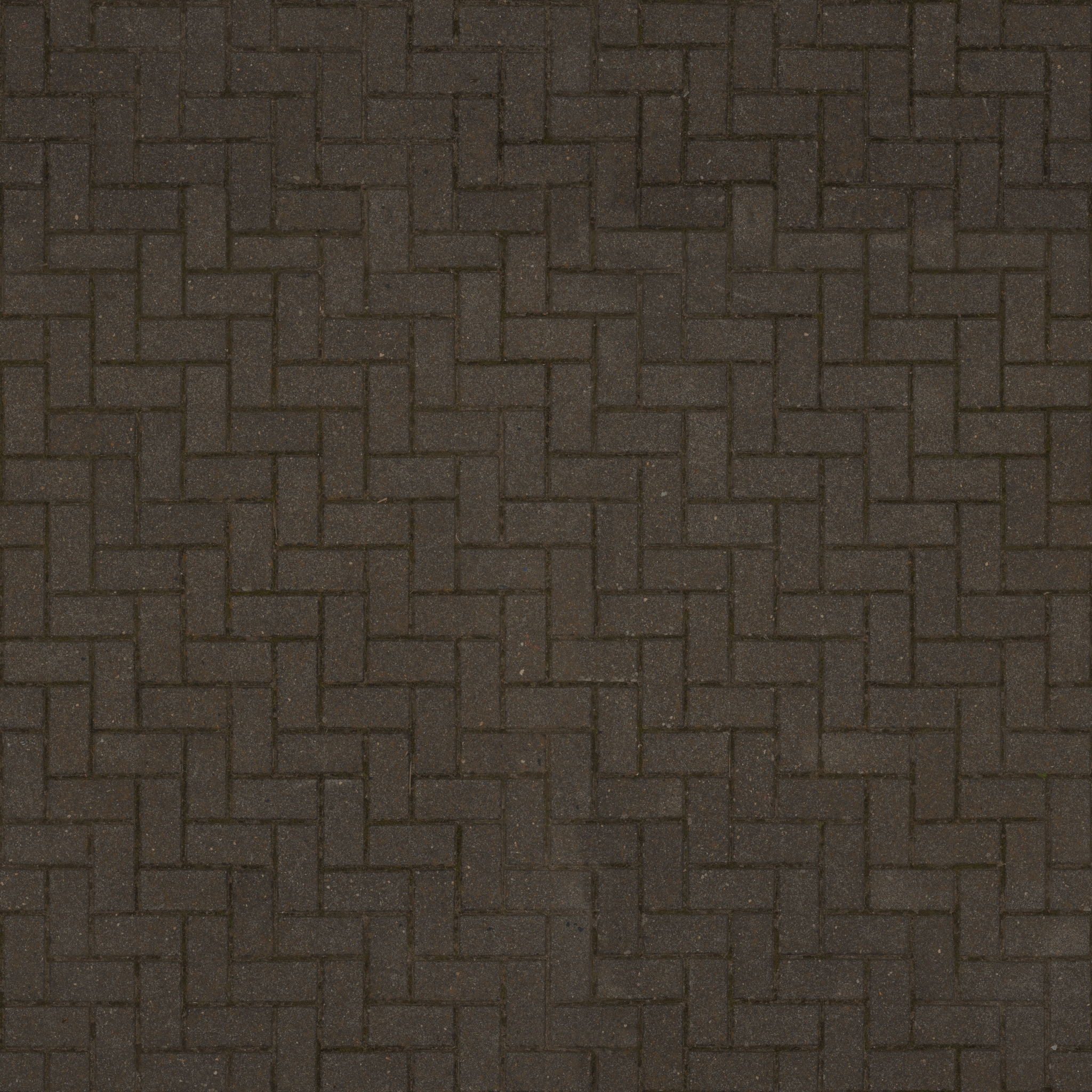 Herringbone Pavement 03