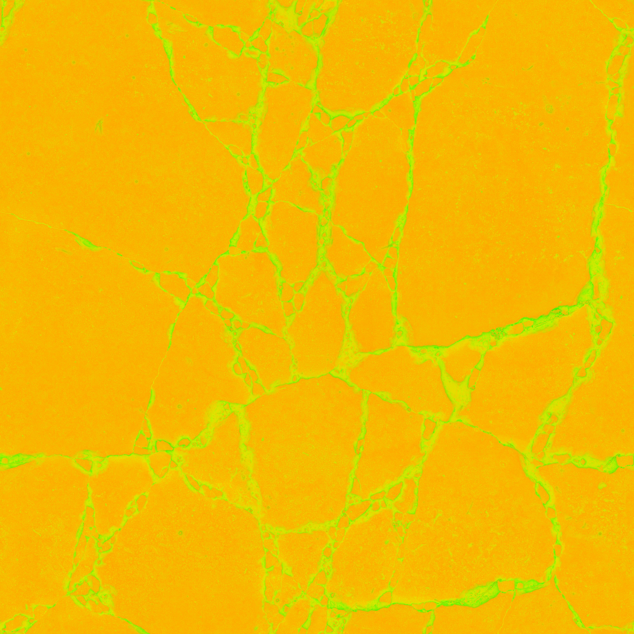 Cracked Concrete - Image 3