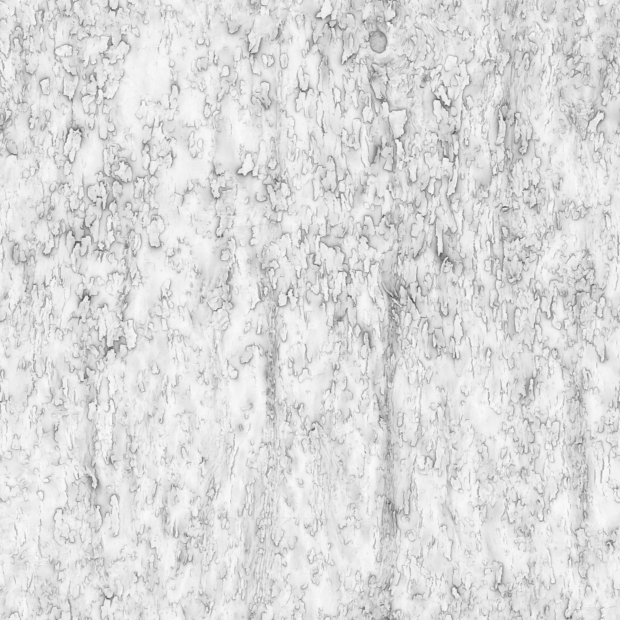 Trident Maple Bark - Image 6