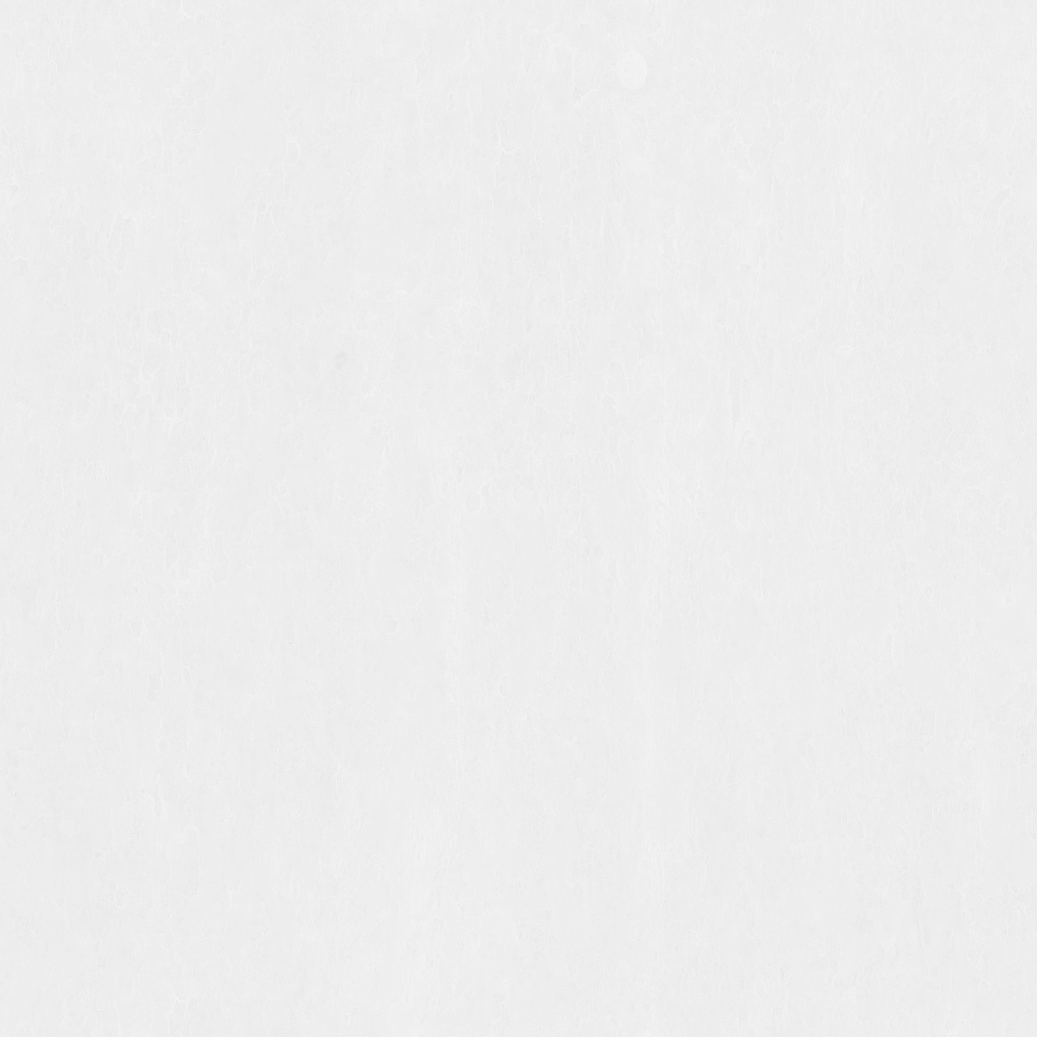 Trident Maple Bark - Image 5