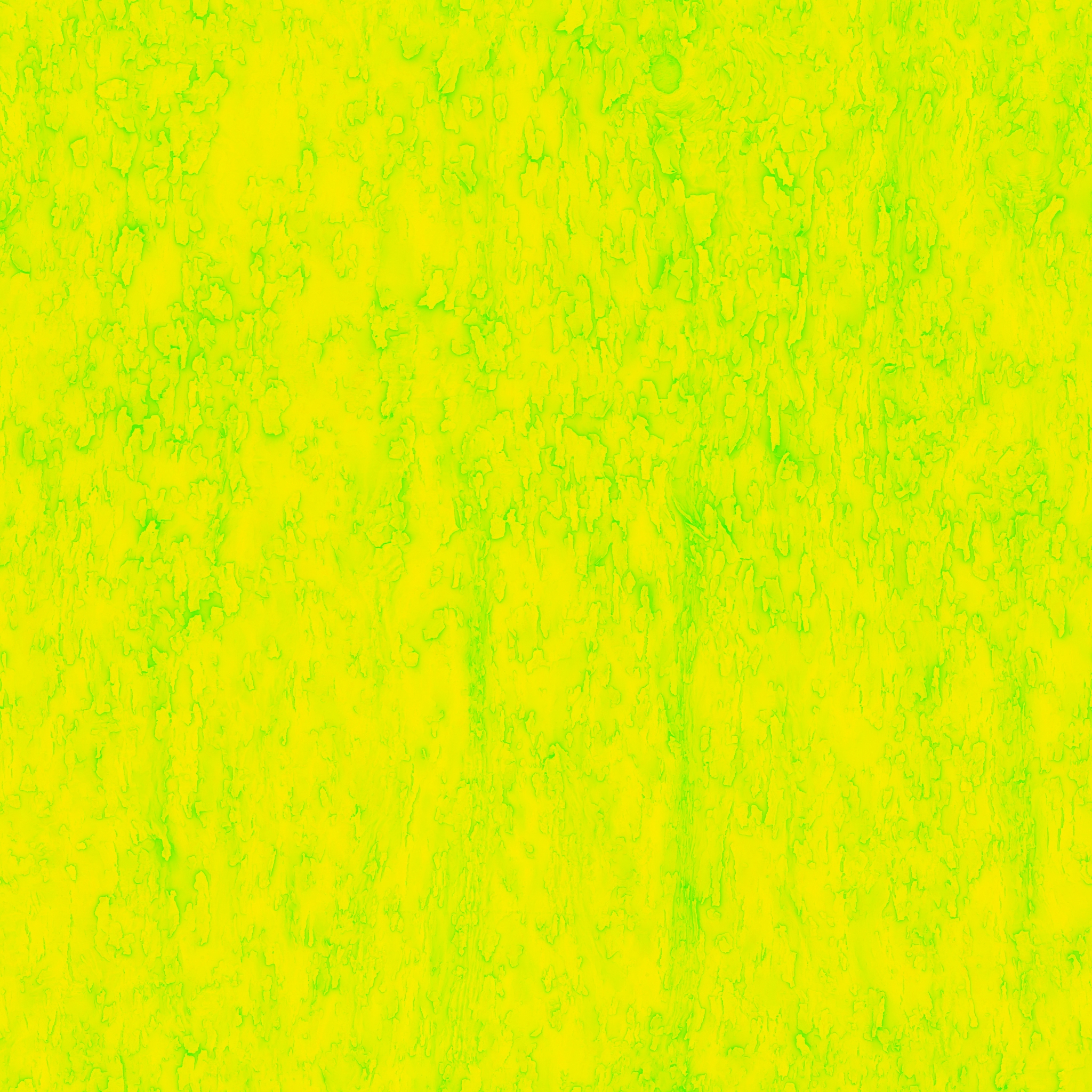 Trident Maple Bark - Image 3