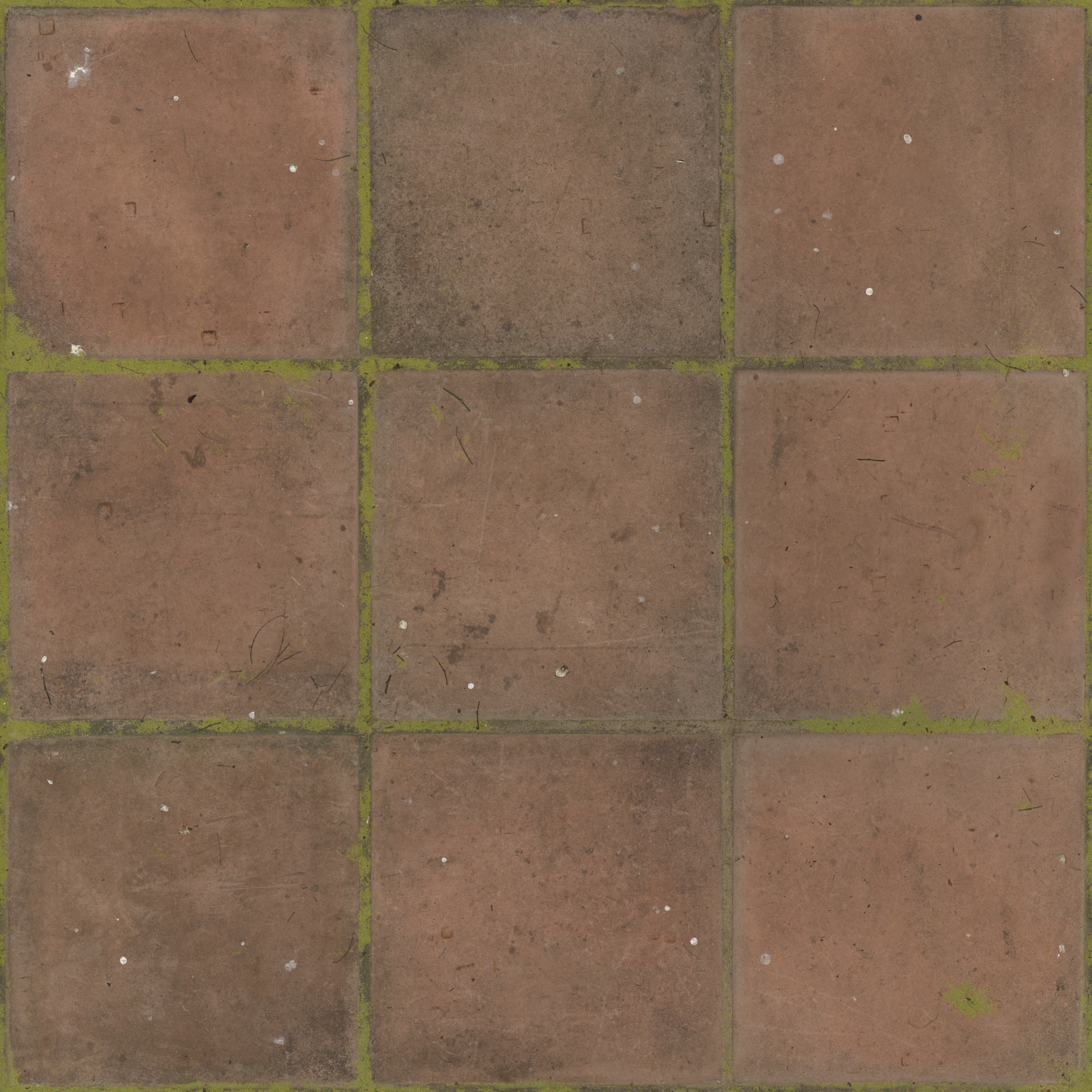Overgrown Concrete Pavers