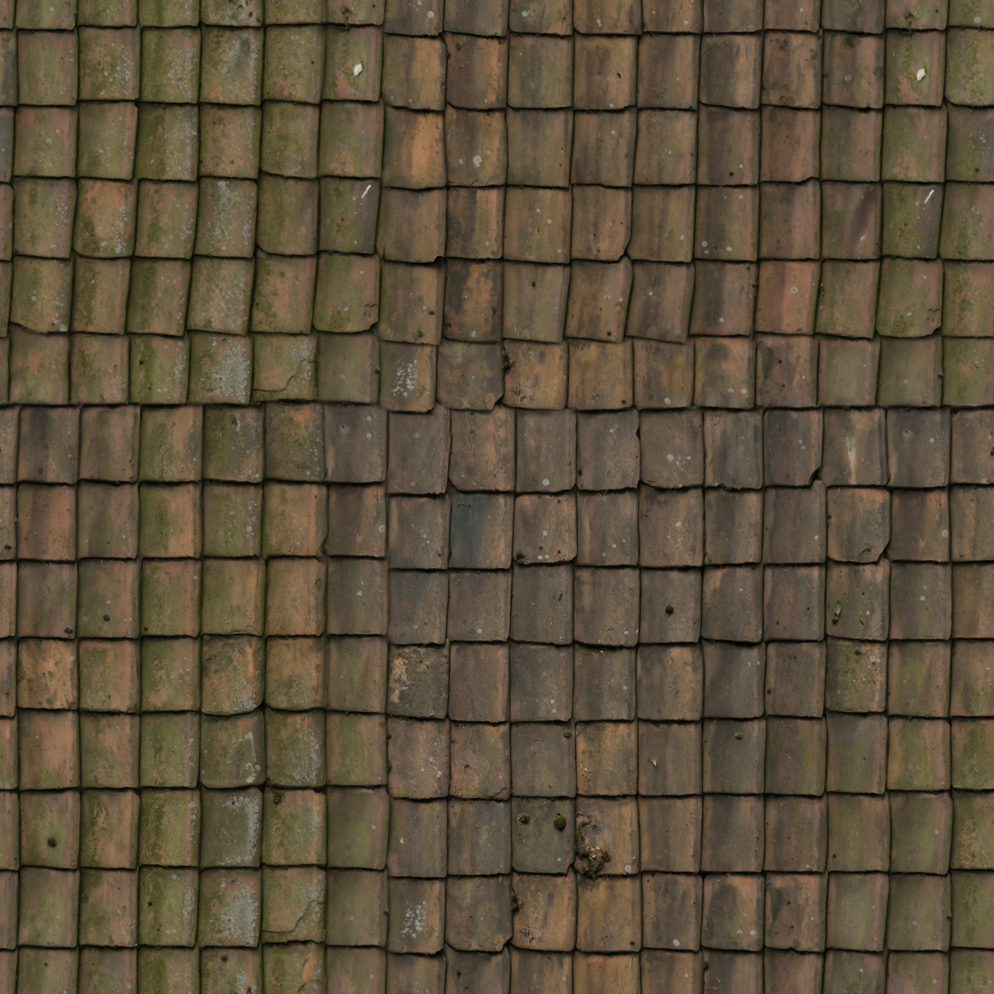 Roof Tiles 14
