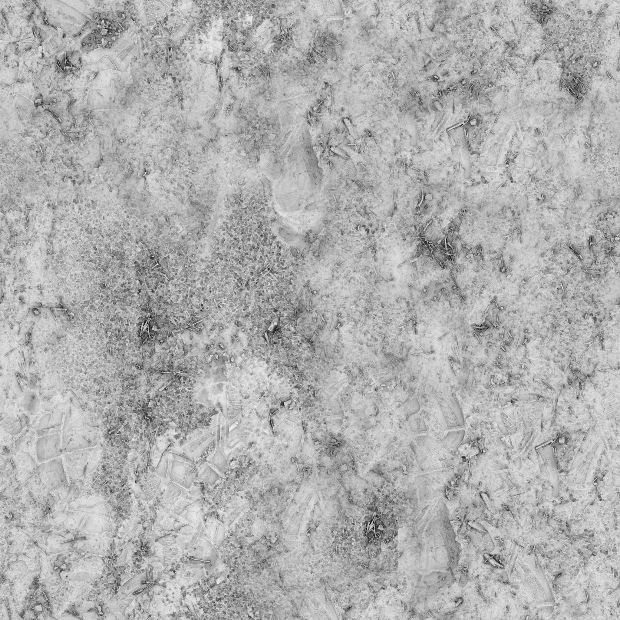 Forest Sand 01 - Image 6