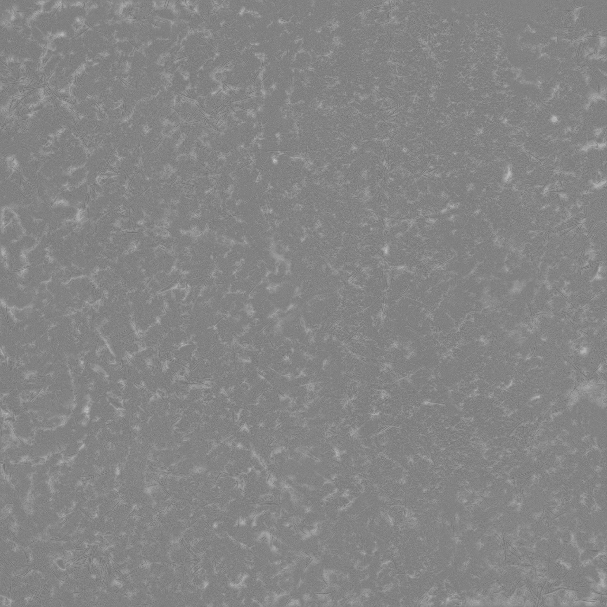 Forest Sand 01 - Image 5