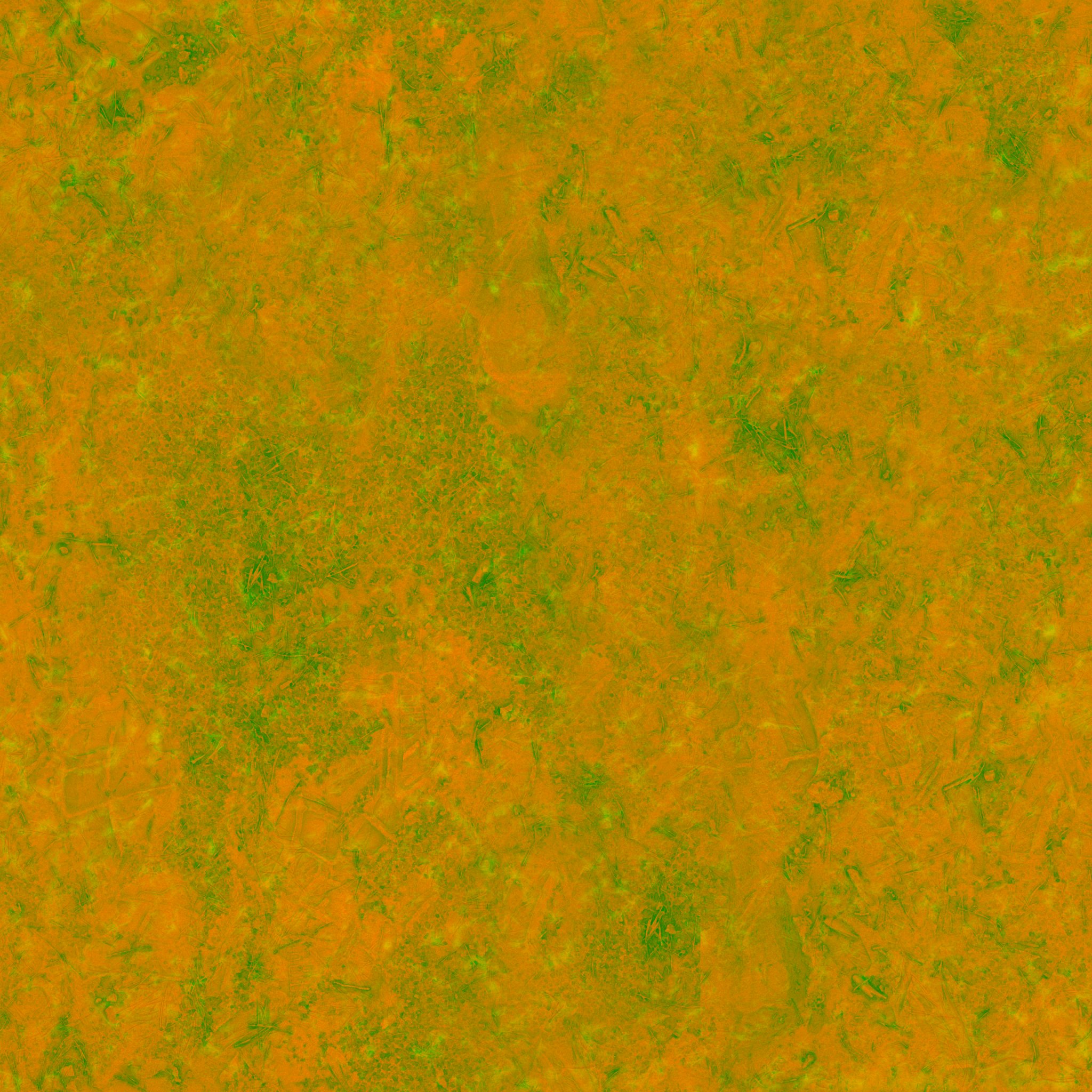 Forest Sand 01 - Image 3