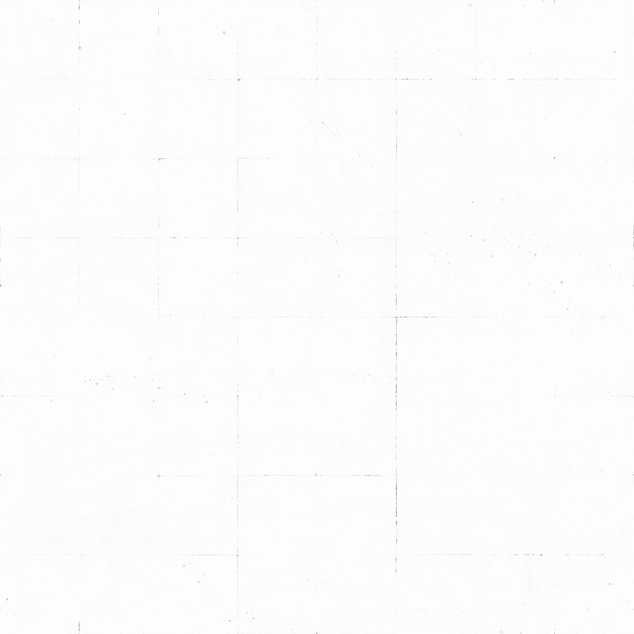 Terrazzo Tiles - Image 6