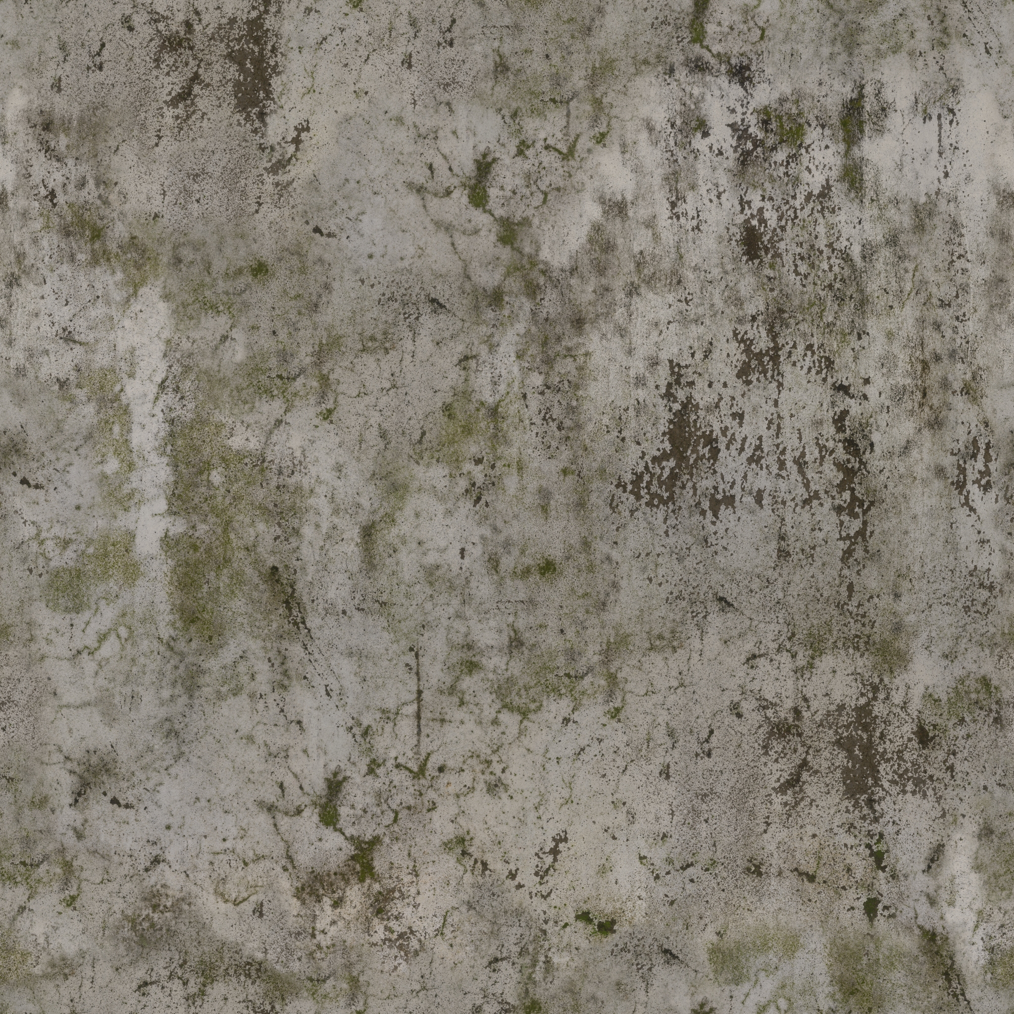 Worn Mossy Plasterwall