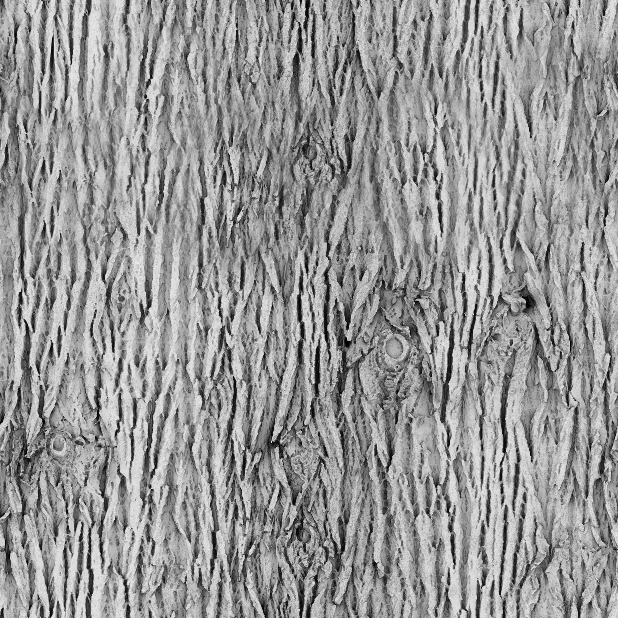 Bark Brown 02 - Image 6