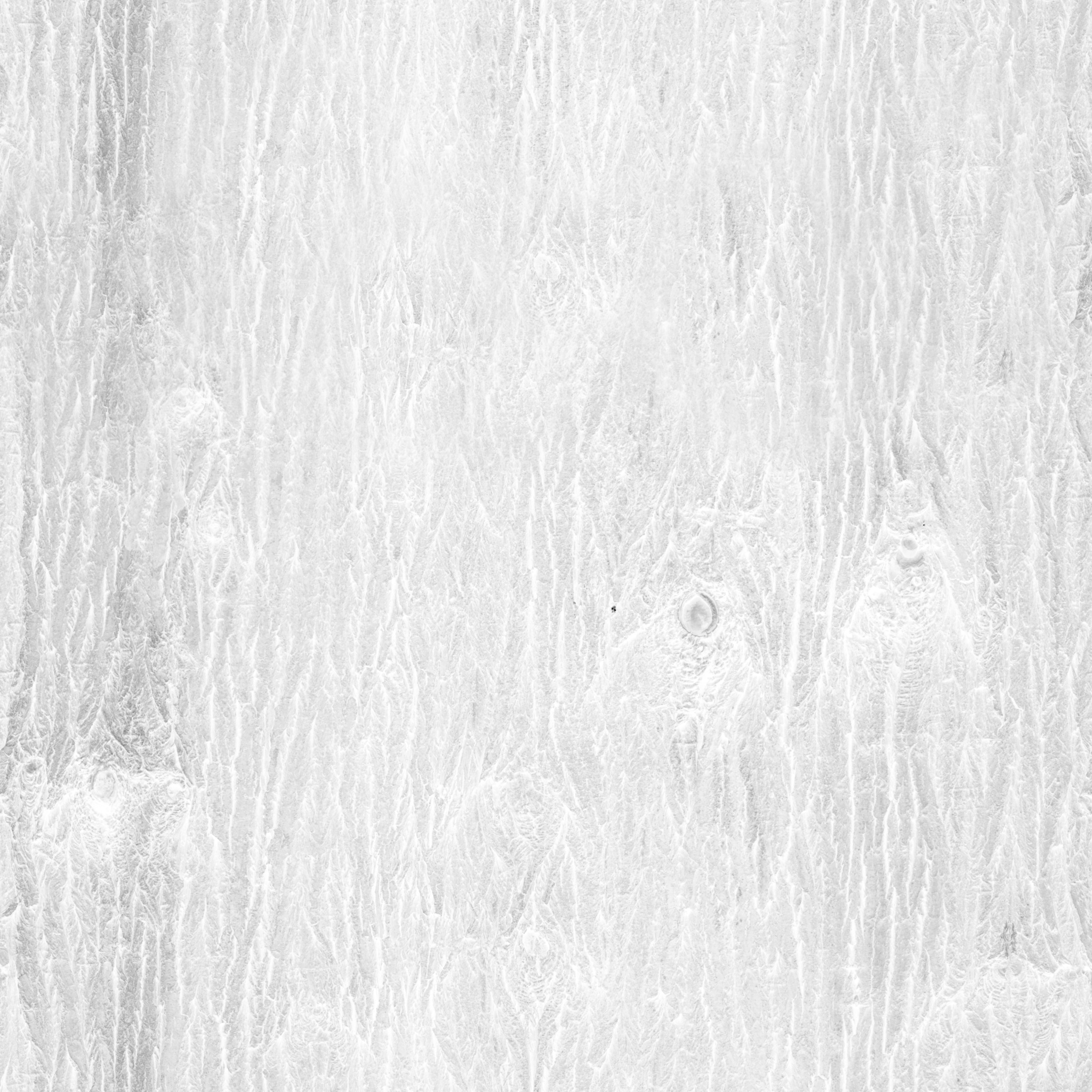 Bark Brown 02 - Image 5