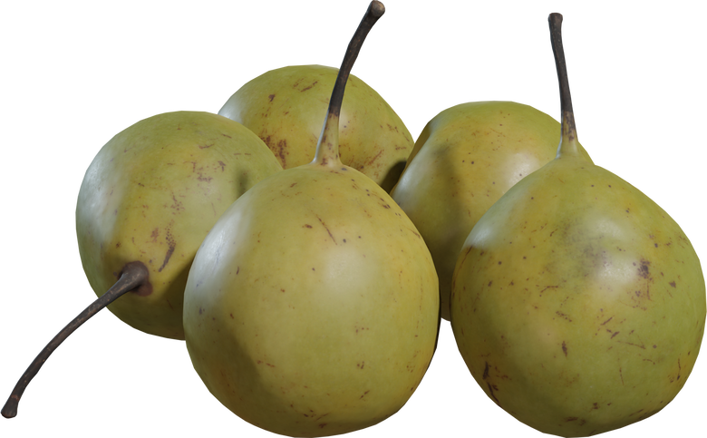 Pears Asian 01