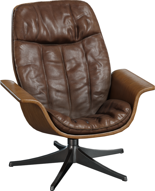 Mid Century Lounge Chair