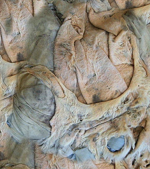 Aug_03_99_11_newsletter