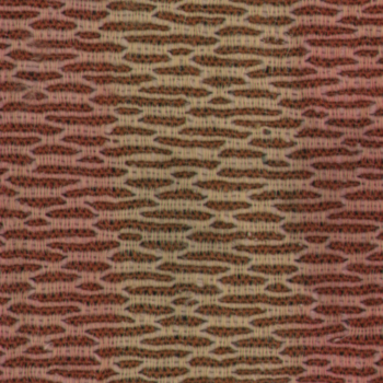 Fabric_Random1_043