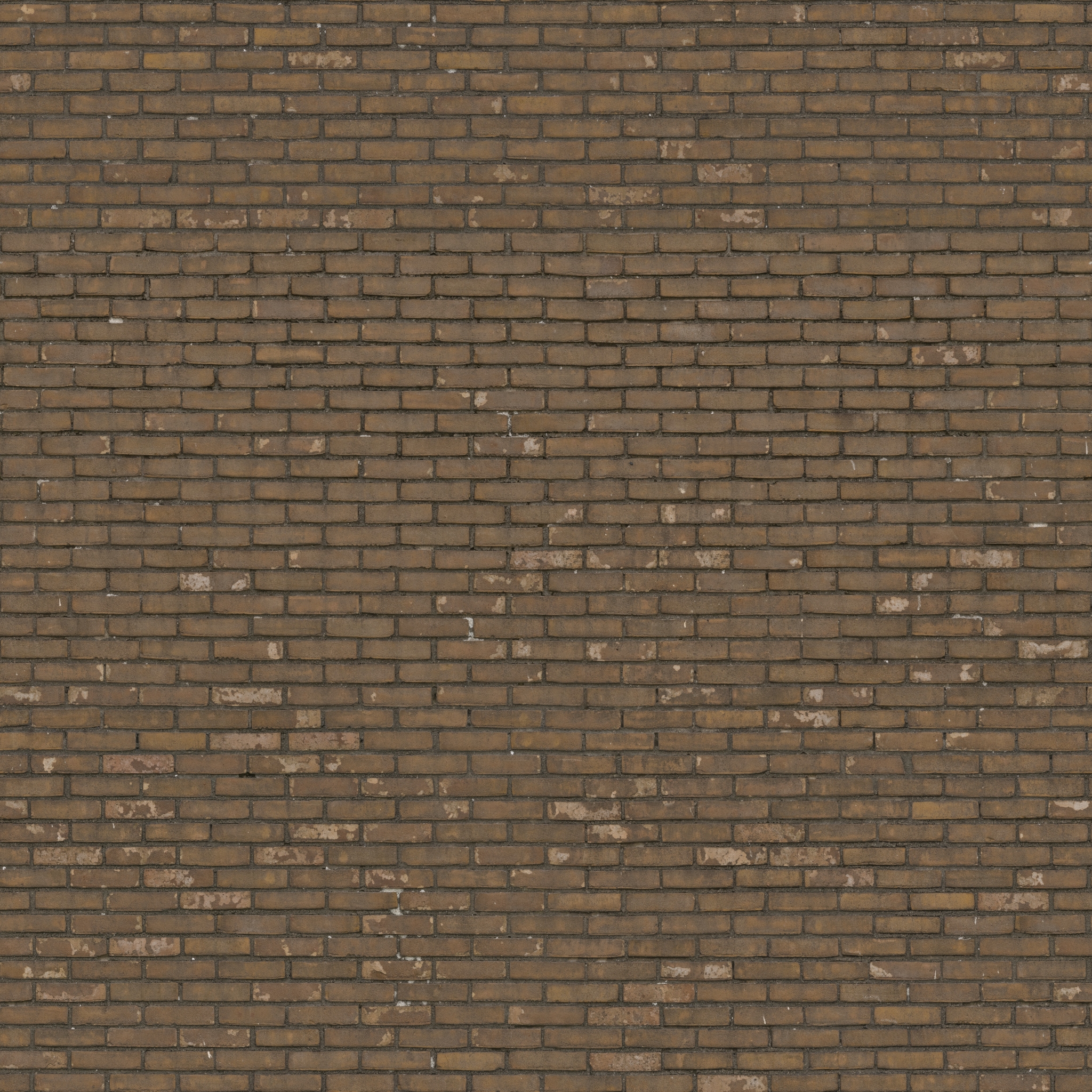 brick_wall_11_Diffuse_2k
