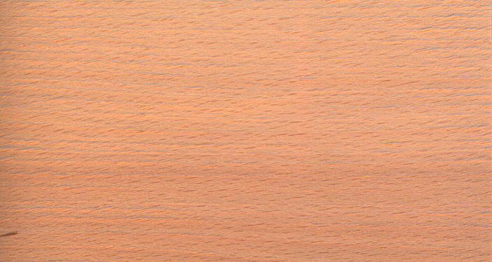 BEECH